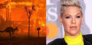 Cantora Pink doa R$ 2 milhões para combate a incêndios florestais na Austrália