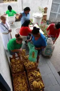 psicologiasdobrasil.com.br - Cat&oacute;licos, evang&eacute;licos e esp&iacute;ritas se unem em terreiro para ajudar fam&iacute;lias carentes