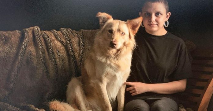 Em meio a crise de pânico, menina autista recebe carinho de seu cãozinho