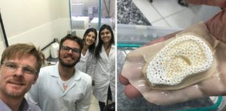 Cientistas paranaenses criam membrana capaz de desenvolver pele e ossos