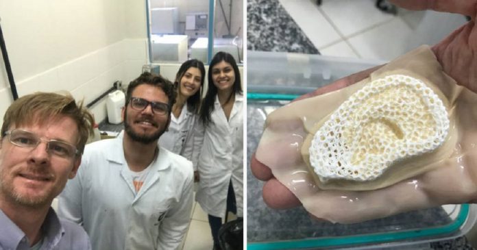 Cientistas paranaenses criam membrana capaz de desenvolver pele e ossos