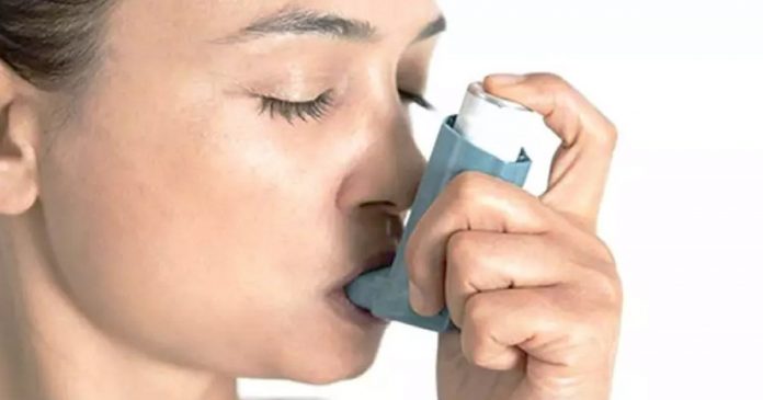 Brasileiros conseguem bloquear avanço da asma e já pensam em vacina
