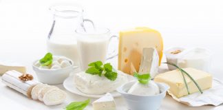 Consumir leite, queijo e iogurte reduz risco de derrame, aponta estudo