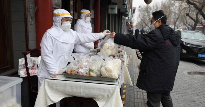 China proíbe comércio e consumo de animais selvagens