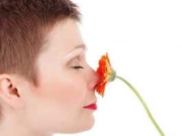 Perda do olfato e do paladar pode indicar infecção por coronavírus