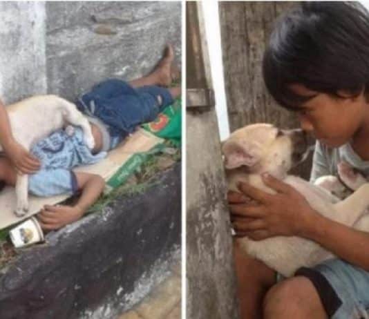 Menino que vive nas ruas adota cachorrinho e lhe dá todo o amor que ele mesmo não recebeu