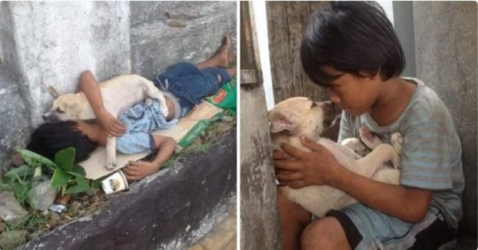 Menino que vive nas ruas adota cachorrinho e lhe dá todo o amor que ele mesmo não recebeu