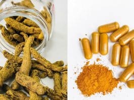 Pesquisadores conseguem reverter Alzheimer usando substância do açafrão