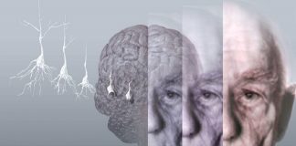 Pesquisadores testam novo spray nasal contra o Alzheimer