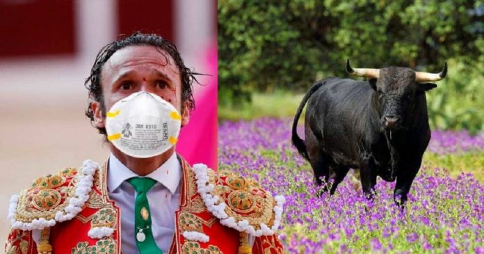 Coronavírus obrigou Espanha a cancelar as touradas