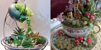 Criar mini jardins em xícaras pode ser uma ótima terapia na quarentena