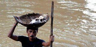 A verdadeira solidariedade é aquela que não espera reconhecimento ou retribuição