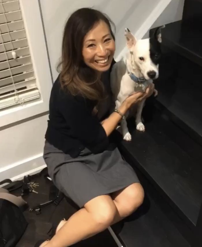 contioutra.com - Mulher com medo de cães adota cachorro com medo de humanos