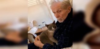 Ela apenas ‘pediu’ que o gato cuidasse de seu pai com Alzheimer, mas ele fez muito mais que isso