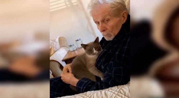 Ela apenas ‘pediu’ que o gato cuidasse de seu pai com Alzheimer, mas ele fez muito mais que isso