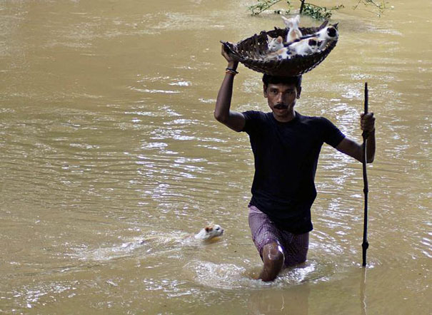 psicologiasdobrasil.com.br - A verdadeira solidariedade é aquela que não espera reconhecimento ou retribuição