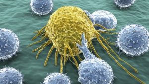 psicologiasdobrasil.com.br - Por engano, cientistas descobrem uma possível cura do câncer