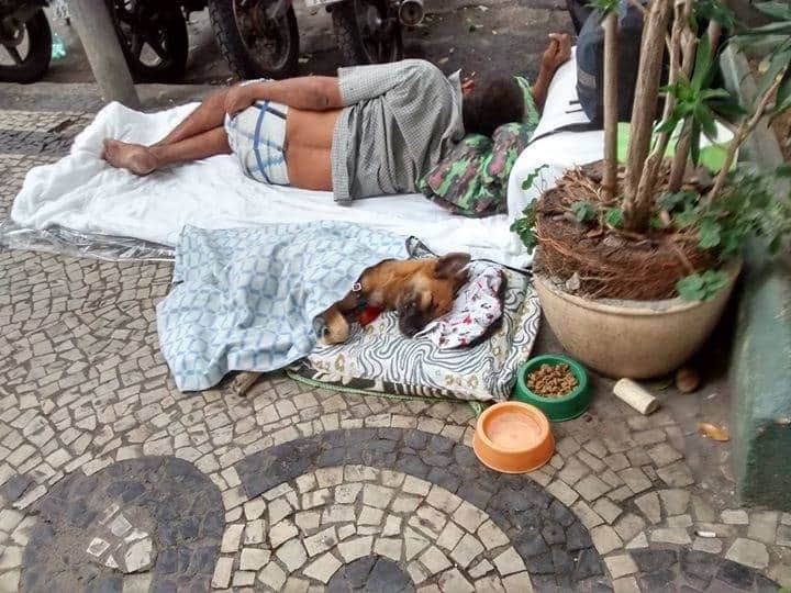 contioutra.com - Homem em situação de rua improvisa caminha para cachorro e comove a web