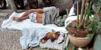 Homem em situação de rua improvisa caminha para cachorro e comove a web