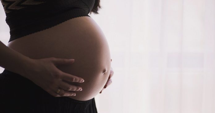 Estudo identifica lesões na placenta de grávidas com Covid-19