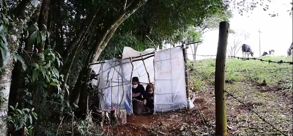 psicologiasdobrasil.com.br - Sem internet, menina monta barraca em sítio vizinho para estudar durante pandemia