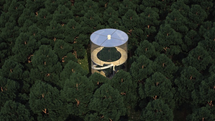 psicologiasdobrasil.com.br - Casa translúcida construída em torno de uma árvore deixa qualquer um maravilhado!