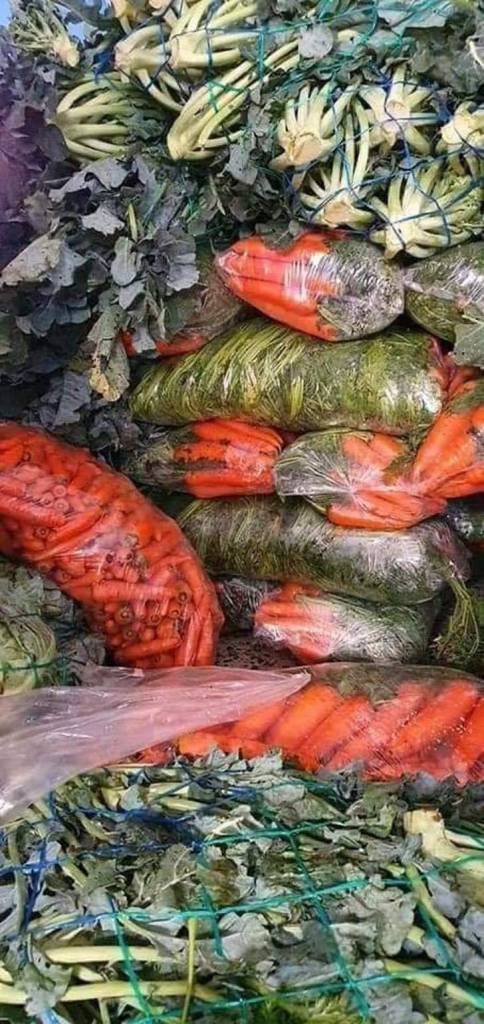 psicologiasdobrasil.com.br - Casal de agricultores doa todos os legumes que cultivaram para famílias afetadas pela pandemia