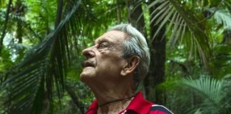 Antonio plantou 50.000 árvores e agora vive em sua própria floresta