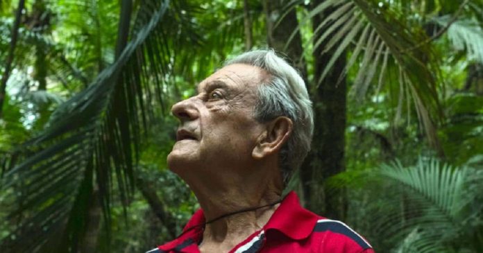 Antonio plantou 50.000 árvores e agora vive em sua própria floresta