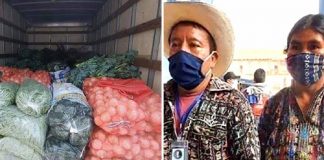 Casal de agricultores doa todos os legumes que cultivaram para famílias afetadas pela pandemia