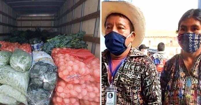 Casal de agricultores doa todos os legumes que cultivaram para famílias afetadas pela pandemia