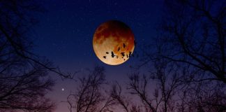 Eclipse lunar penumbral promete maravilhoso espetáculo noturno nos próximos dias
