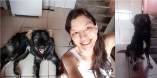 Ela desistiu de adotar cão de raça e acolheu vira-lata que a ajudou a superar a depressão