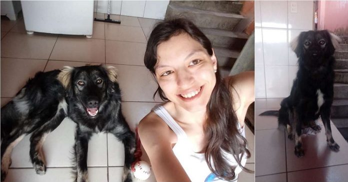 Ela desistiu de adotar cão de raça e acolheu vira-lata que a ajudou a superar a depressão