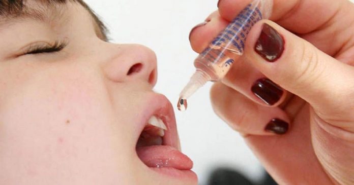 Pesquisadores estudam usar vacina de pólio contra Covid-19