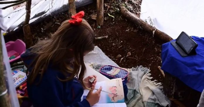 Sem internet, menina monta barraca em sítio vizinho para estudar durante pandemia