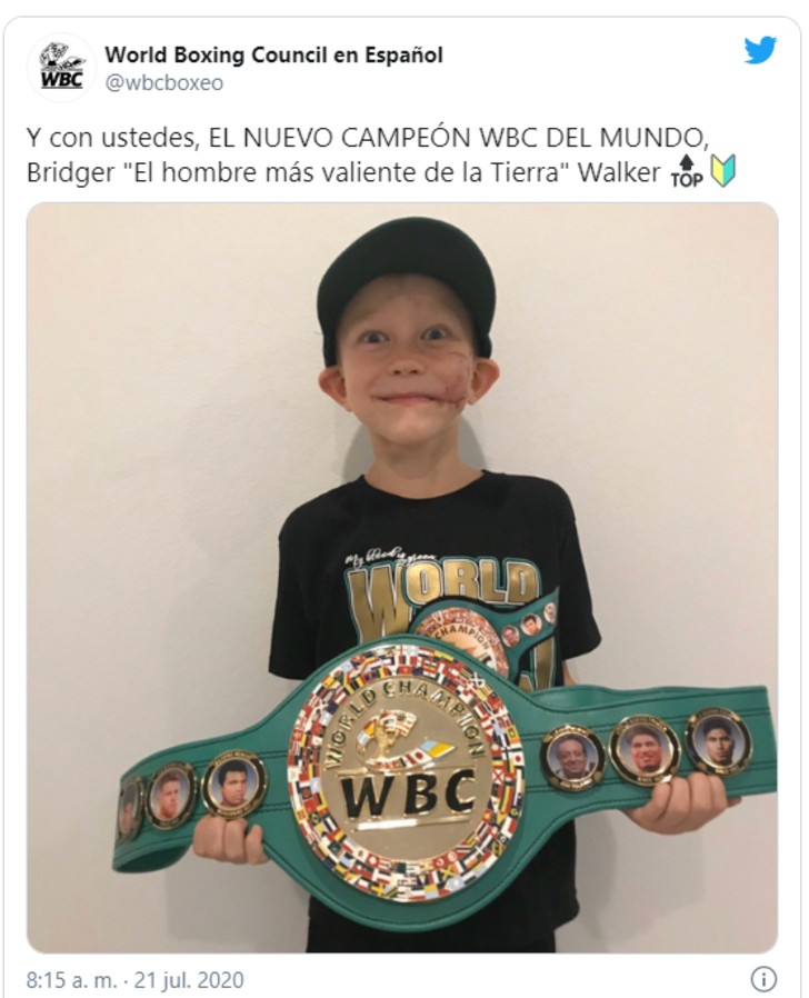 psicologiasdobrasil.com.br - Conselho Mundial de Boxe nomeia Bridger Walker o "Homem Mais Valente do Mundo"