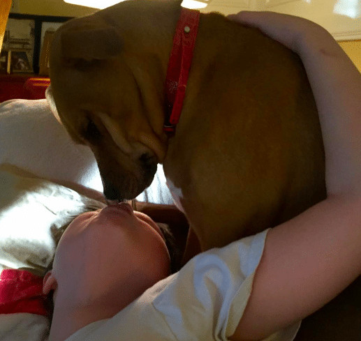 psicologiasdobrasil.com.br - Menino com autismo volta a se comunicar ap&oacute;s conhecer sua melhor amiga, uma cachorrinha resgatada