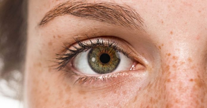 Tratamento com células-tronco restaura visão pela primeira vez a pessoa com cegueira