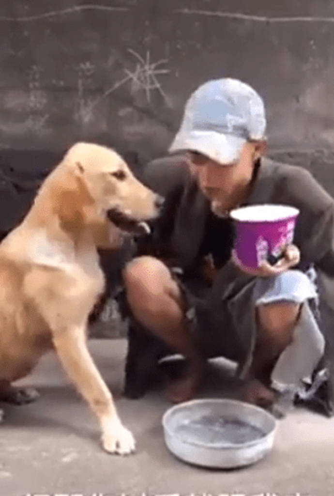 psicologiasdobrasil.com.br - Morador de rua alimenta cachorro faminto com seu último pedaço de comida
