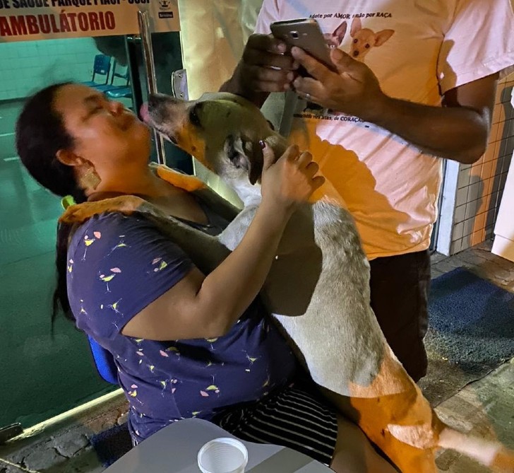 psicologiasdobrasil.com.br - Depois de perder sua mãe para COVID-19, mulher adota cachorro de rua que a confortou