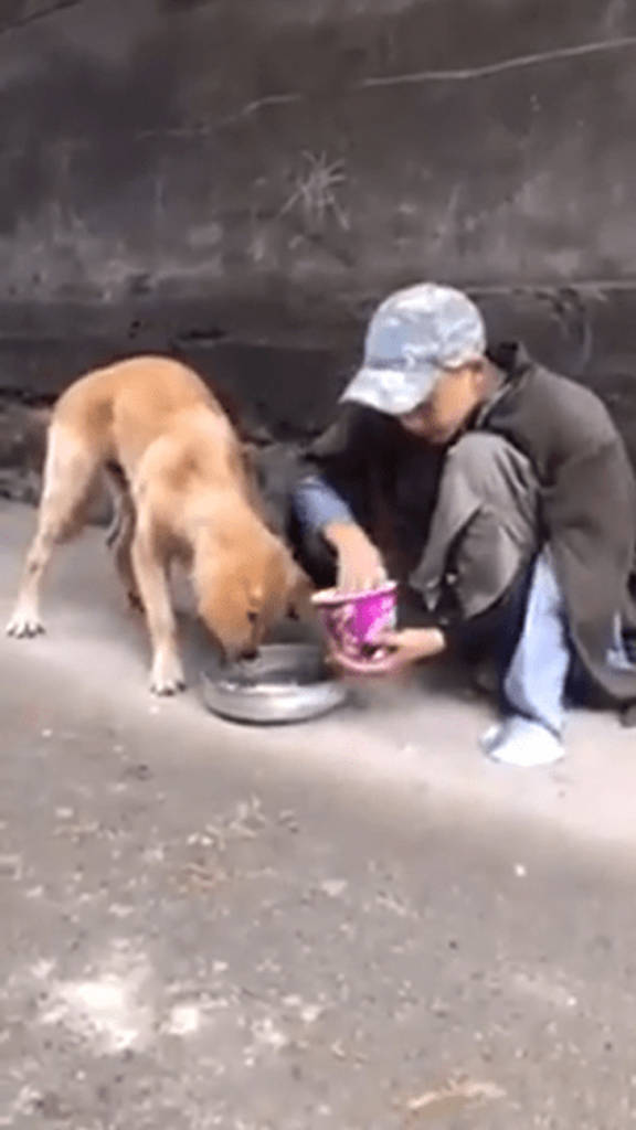 psicologiasdobrasil.com.br - Morador de rua alimenta cachorro faminto com seu último pedaço de comida