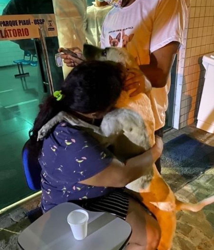 psicologiasdobrasil.com.br - Depois de perder sua mãe para COVID-19, mulher adota cachorro de rua que a confortou