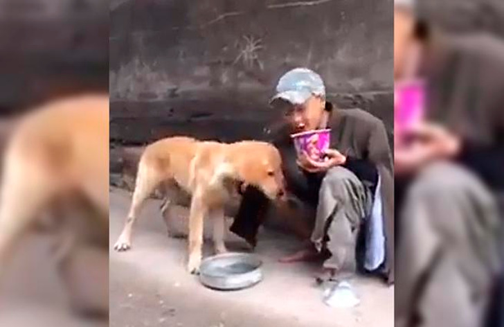 psicologiasdobrasil.com.br - Morador de rua alimenta cachorro faminto com seu último pedaço de comida