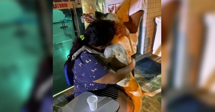 Depois de perder sua mãe para COVID-19, mulher adota cachorro de rua que a confortou
