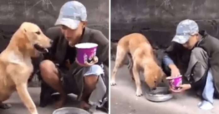 Morador de rua alimenta cachorro faminto com seu último pedaço de comida