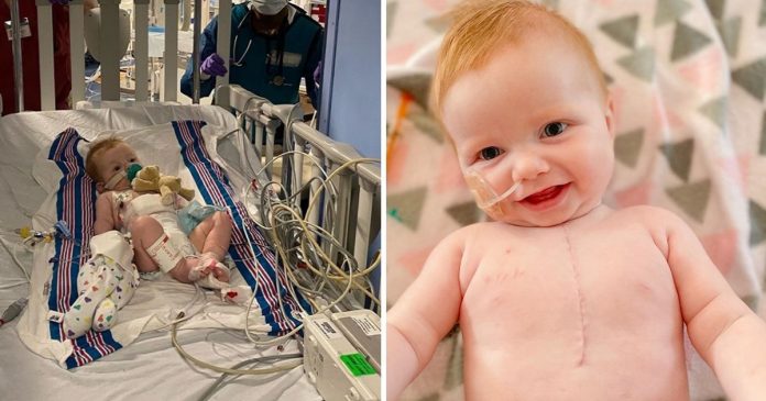 Guerreira de apenas um ano sobrevive ao primeiro de três transplantes. Ganhou um coração novo!