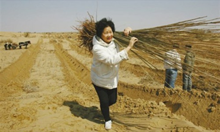 psicologiasdobrasil.com.br - Mulher plantou dois milhões de árvores no deserto para realizar o último desejo de seu filho
