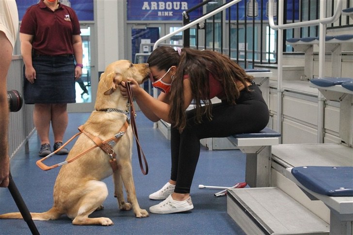 psicologiasdobrasil.com.br - Nadadora que ficou cega ganha a ajuda de um cão-guia. Hoje são um time perfeito!