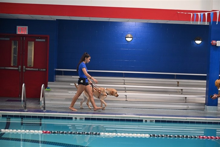 psicologiasdobrasil.com.br - Nadadora que ficou cega ganha a ajuda de um cão-guia. Hoje são um time perfeito!